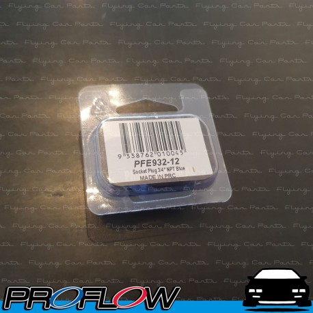 PROFLOW Port Socket Blanking Plug Block Off 3/4" NPT Blue