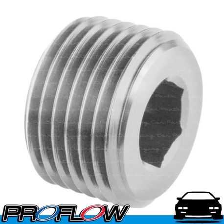 PROFLOW Port Socket Blanking Plug Block Off 1/8" NPT Stainless Steel