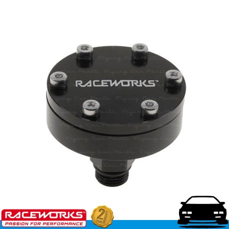 RACEWORKS AN8 8AN ORB Fuel Rail Injector Pulsation Damper Dampener E85