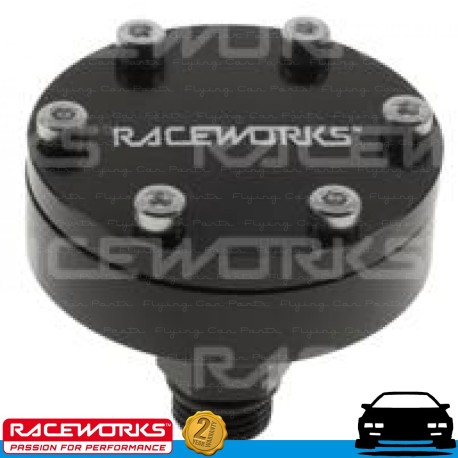 RACEWORKS AN6 6AN ORB Fuel Rail Injector Pulsation Damper Dampener E85