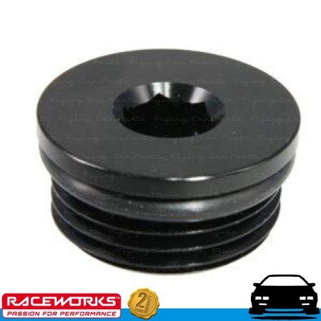 RACEWORKS AN In Hex O-Ring ORB Plug AN10 10AN Fuel Oil E85 Diesel