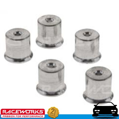 RACEWORKS 5 x 1mm Turbo Oil Restrictor suit AN3 3AN