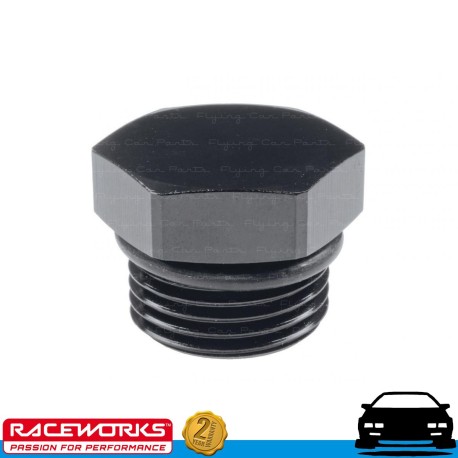 RACEWORKS O-Ring ORB Plug AN6 6AN Fuel Oil E85 Diesel