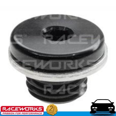 RACEWORKS M12x1.25 In Hex Plug w/ Washer Fuel Oil E85 Diesel