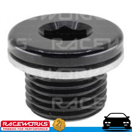 RACEWORKS M18x1.5 In Hex Plug w/ Washer Fuel Oil E85 Diesel