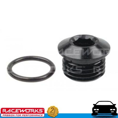 RACEWORKS 9/16" -24 Plug to suit Nissan Fuel Rails Fuel Oil E85 Diesel