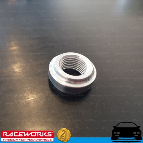 RACEWORKS 3/8" NPT Aluminium Weld On Fuel Oil E85 Diesel