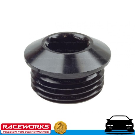 RACEWORKS AN In Hex O-Ring ORB Plug AN6 6AN Fuel Oil E85 Diesel