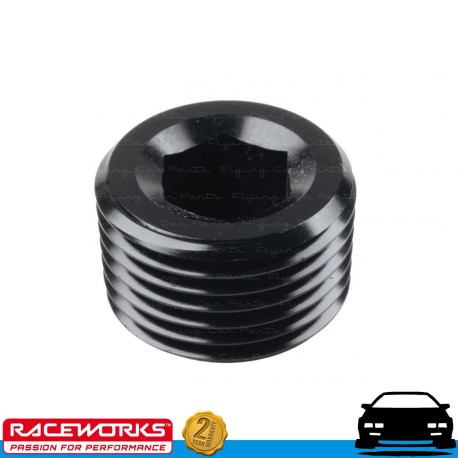 RACEWORKS NPT Blanking Plug Block Off 3/8" Fuel Oil E85 Diesel